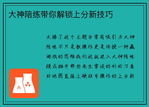 大神陪练带你解锁上分新技巧